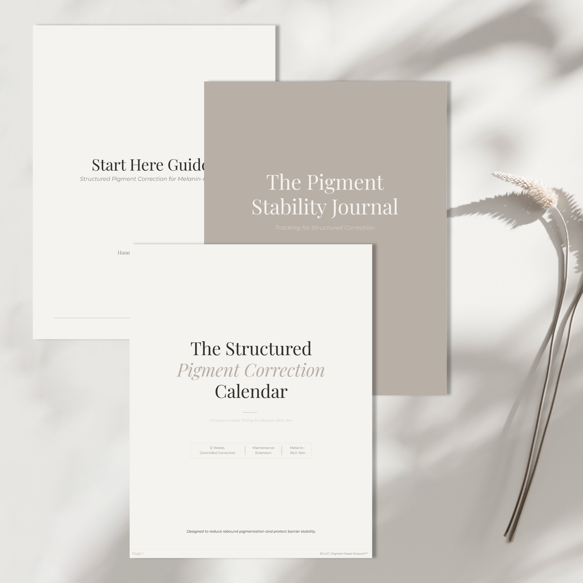 ÉCLAT Pigment Reset Protocol™ Full Bundle