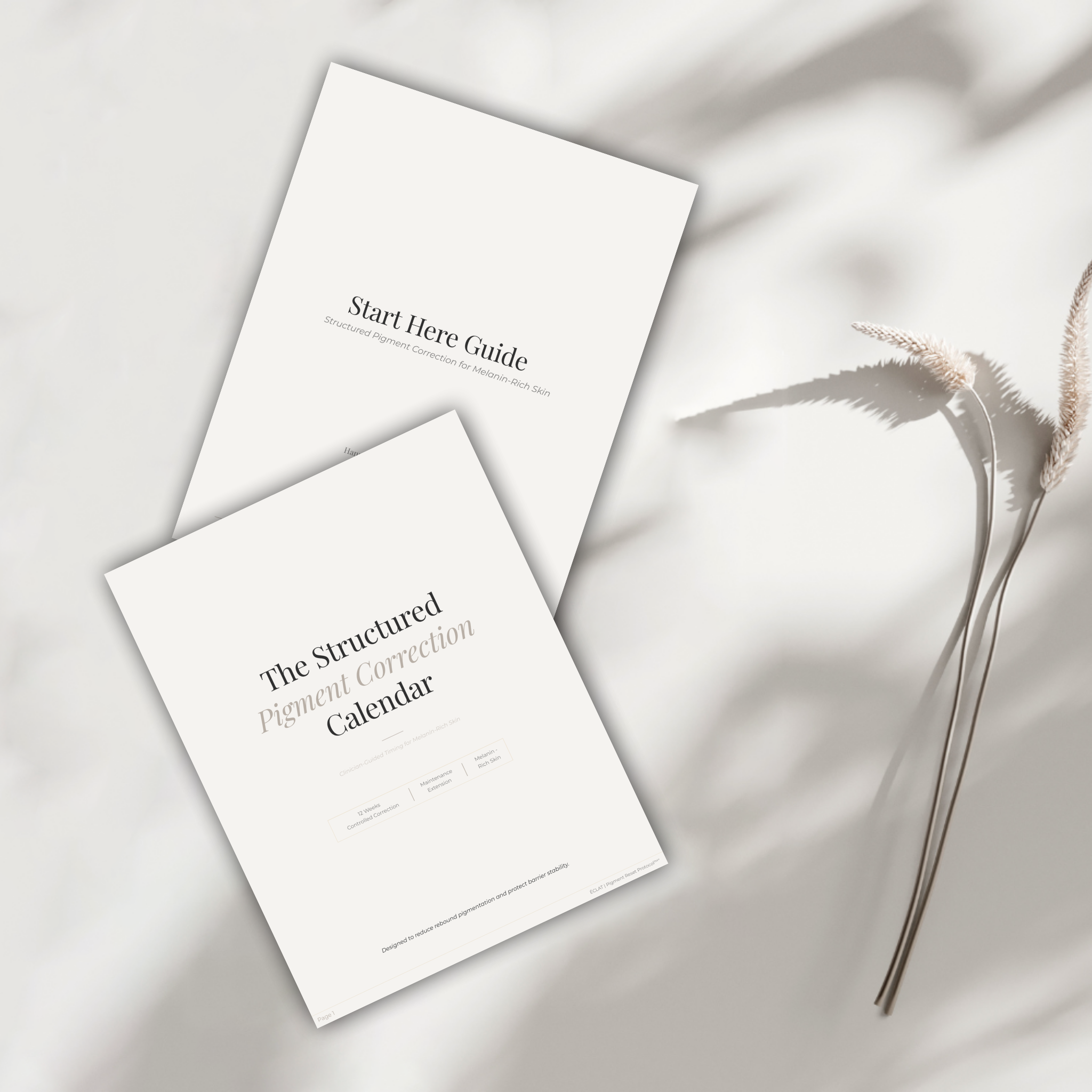 Calendar + Start Here Bundle