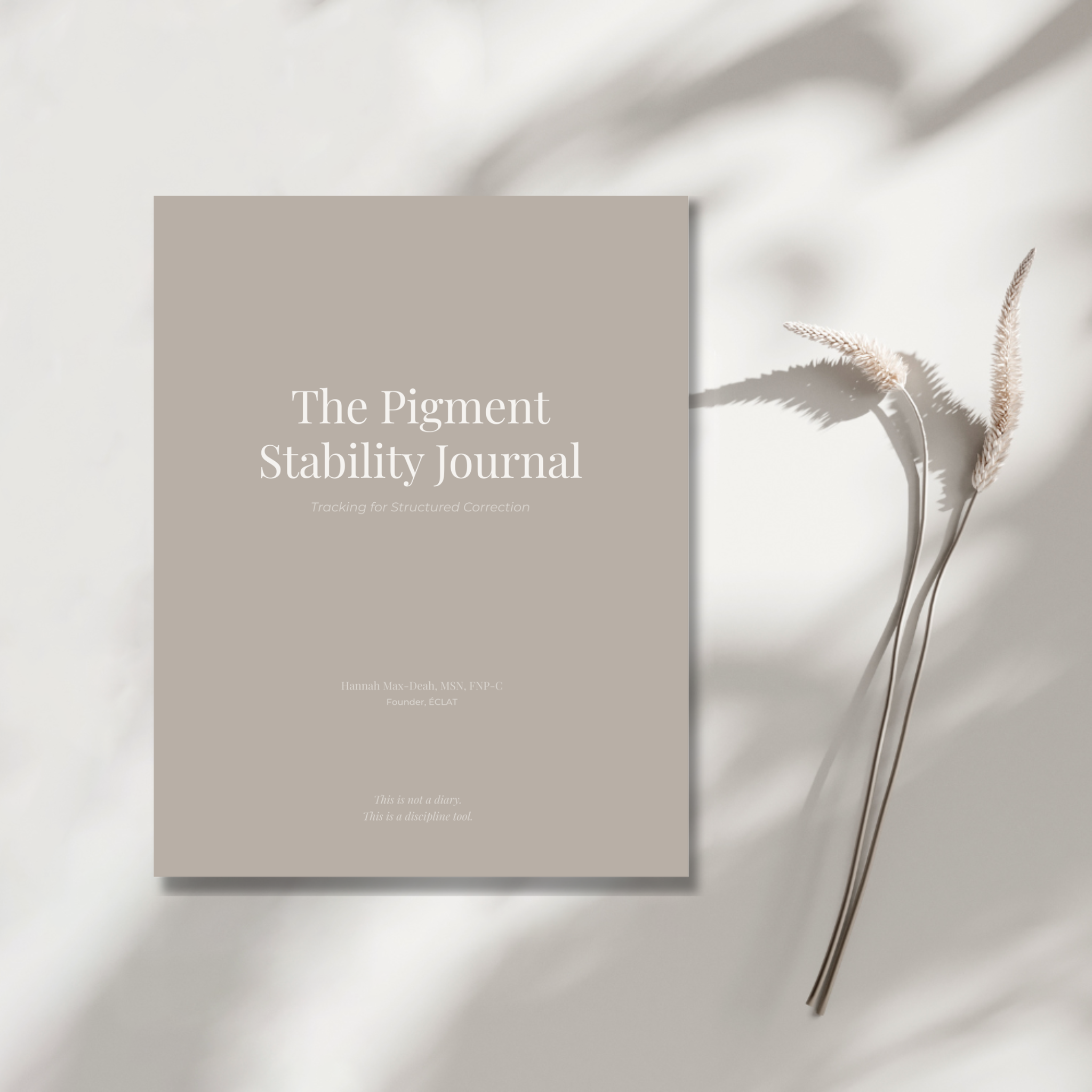 Pigment Stability Journal